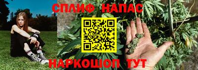 индика Шахты