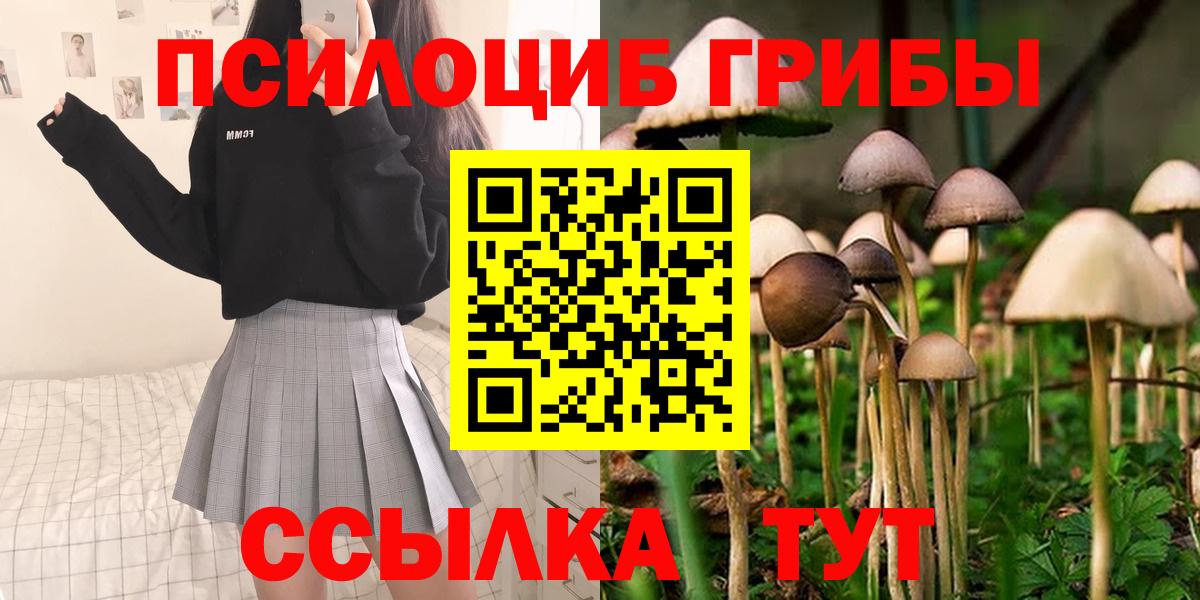 Галлюциногенные грибы Magic Shrooms Минеральные Воды